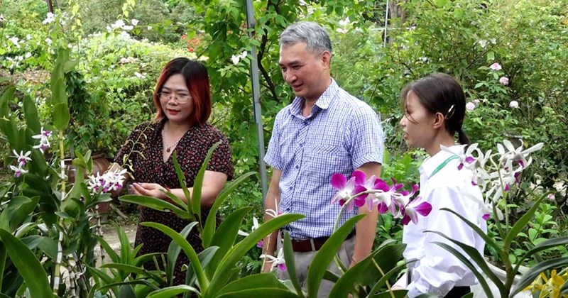 Hé Lộ Ngành Học Rộng Mở Cơ Hội Việc Làm Trong Tương Lai