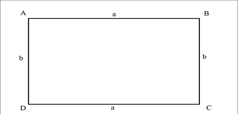 Tìm Hiểu Kiến Thức Lý Thuyết Hình Chữ Nhật