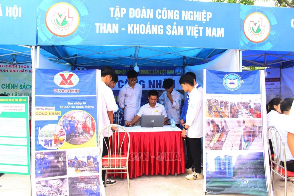 172429 Cac Don Vi Cung Cap Thong Tin Viec Lam Tu Van Cho Sinh Vien Anh Ttxvn Phat