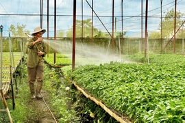 “Đánh Thức” An Phú