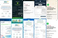 Xuống Tiền Vì Tin Gv Tiktok, Người Học 'Ngã Ngửa' Với Lớp Online Của Bà Ngọc Anh