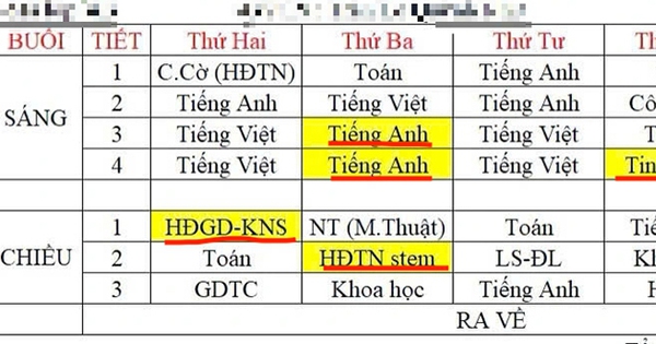 Phải Học Môn Liên Kết, Tự Nguyện Trong Chương Trình Giáo Dục Mới?