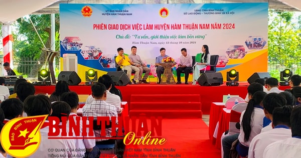 Tư Vấn, Giới Thiệu Việc Làm Bền Vững