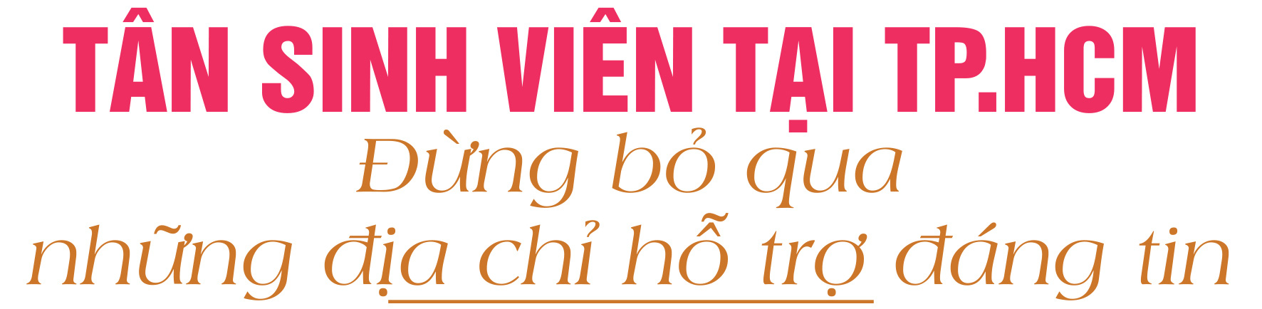 Tân Sinh Viên Tìm Việc Làm Thêm Tại Tp.hcm, Hà Nội, Đà Nẵng, Cần Thơ: Làm Sao Tránh Bẫy Lừa? - Ảnh 10.